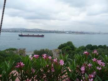 P1040342.JPG 3456x2592 index 98